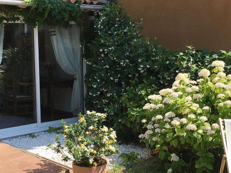 Apartament Studio Close Fourviere Very Quiet & Small Terrace Lyon Zewnętrze zdjęcie